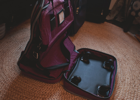 biaggi zipsak foldaway luggage