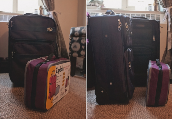 biaggi zipsak fold away luggage