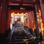 Red Torii at Fushimi Inari-taisha, Kyoto, Japan