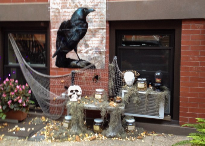 halloween decorations outside the apothecary