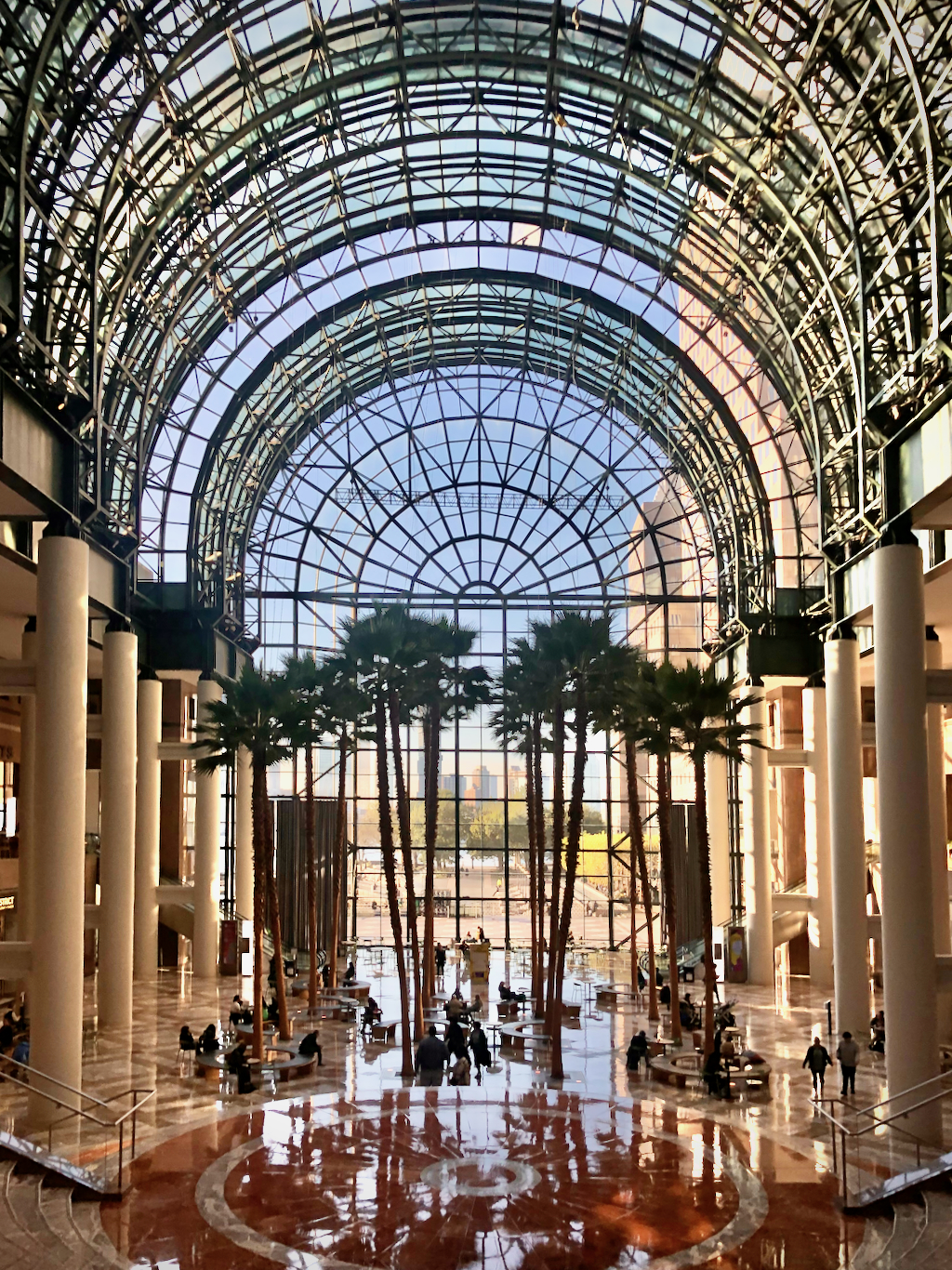 Palm trees in the Winter Garden at Brookfield Place.