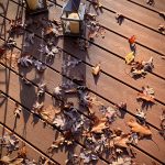 Fallen leaves outside on the deck.