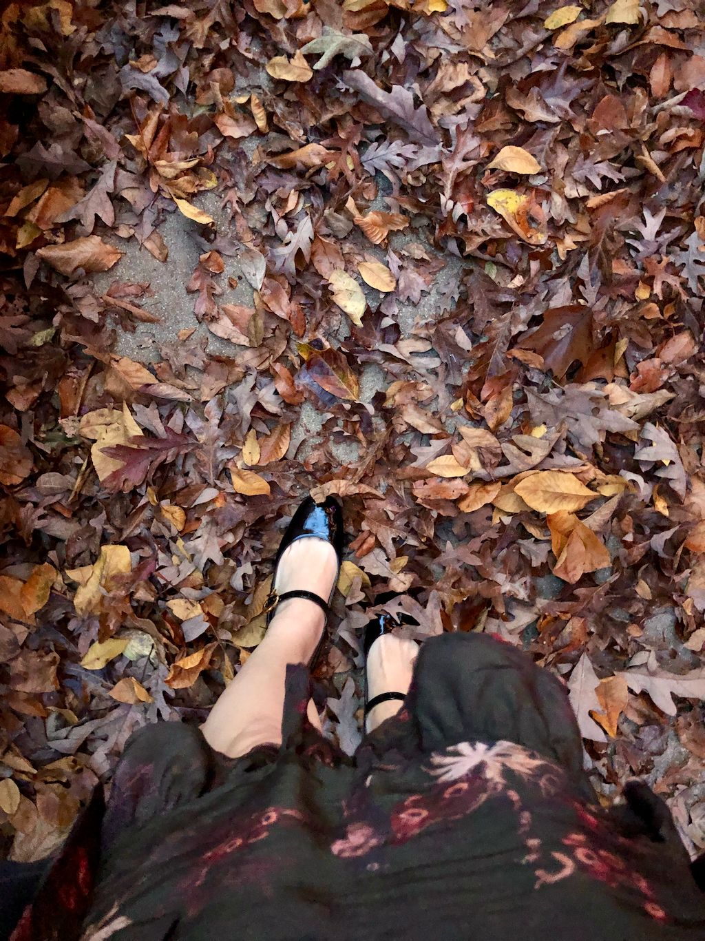 Standing in fallen leaves at Thanksgiving.